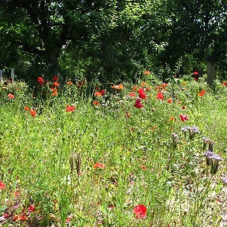 Gaestehaus Am Wangeliner Garten Zewnętrze zdjęcie